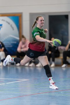 Bild 235 - F HSG Kremperheide/Muensterdorf - HSG Holstein Kiel/Kronshagen : Ergebnis: 31:26